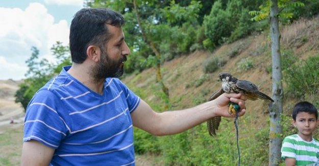 Yaralı Delice Doğan Düzce Üniversitesi’nde Tedavi Edildi