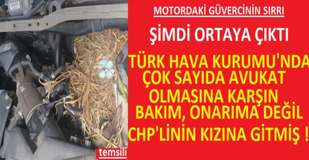 İşte Motordaki Güvercinin Sırrı ...